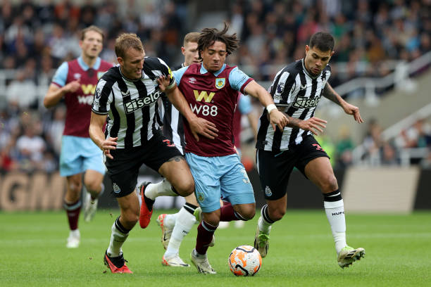 并且展现出 并且展现出